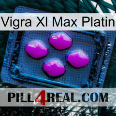 Vigra Xl Max Platinum 04